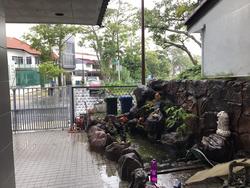 Lucky Gardens (D16), Terrace #147375282